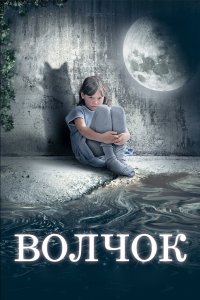 Волчок (фильм 2009)